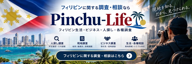 フィリピンの調査・相談